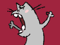 Cat drawing