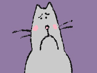 Cat drawing